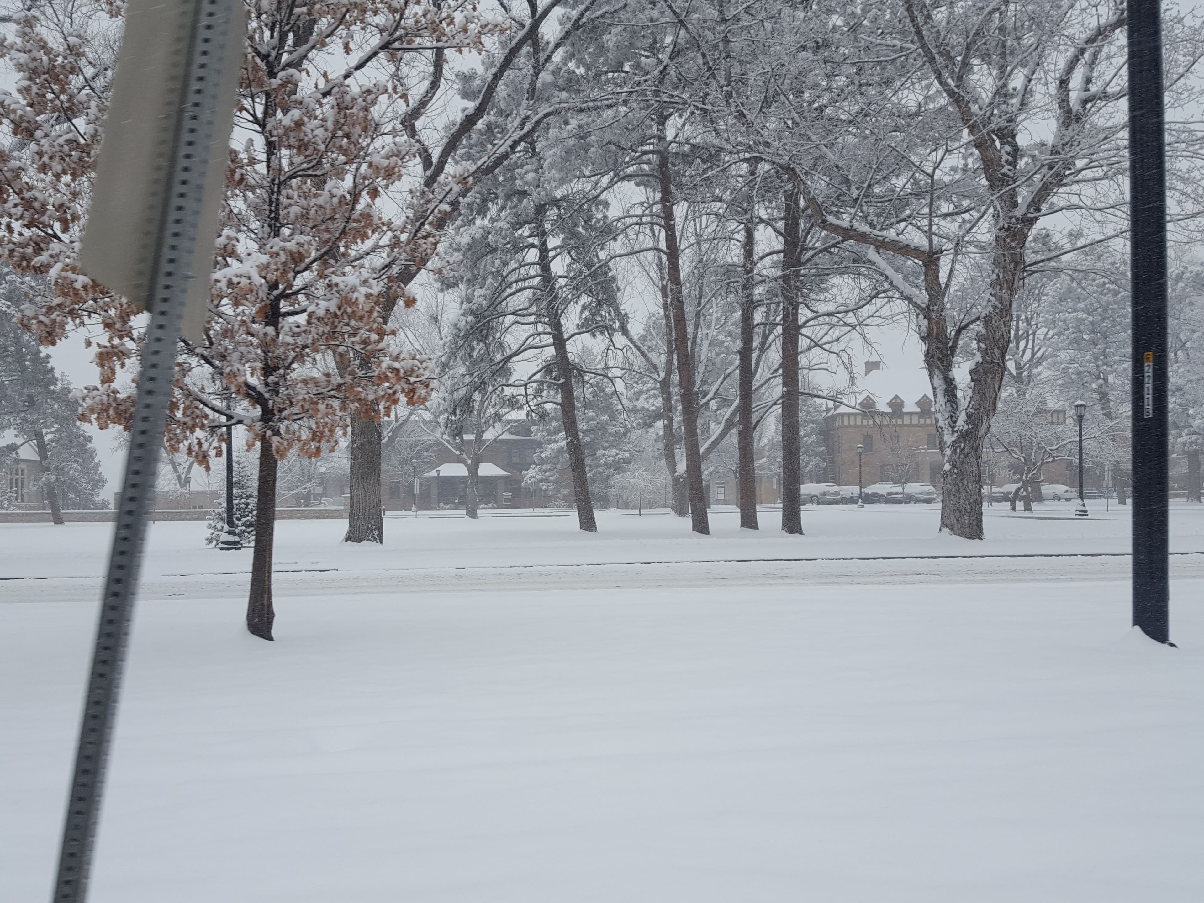 French Quarter Vessel